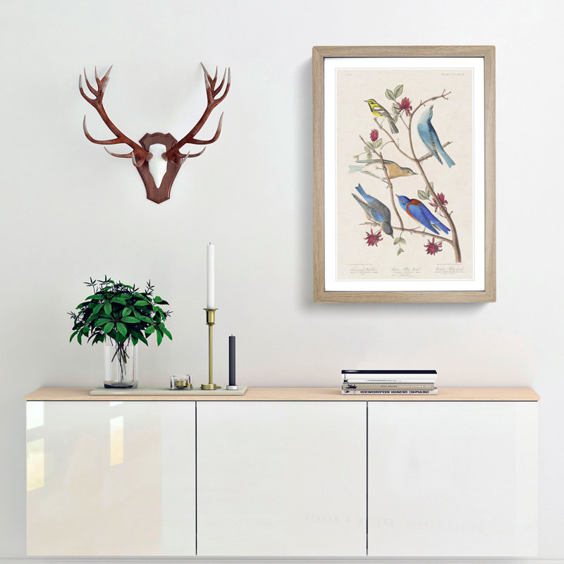 Warbler Bird & Blue-Birds by John Audubon - Picture Frame Painting Print, Oak Framed, 48cm H x 36cm W x 2cm D