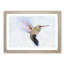 Flying Hummingbird Bird - Picture Frame Graphic Art Print-56712935-56712940