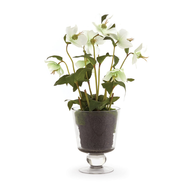 Arrangement floral Alina Hellebores Ranunculus