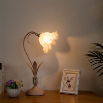 Crystal Pink Feather Bedside Lamp Luxury Fairy Lights Feather Bedside Lamp  Shade Feather Table Lamp Desk Lampshade for Living Room Bedroom Dining Room  Bl23240 - China Dimmer Lamps, Study Light