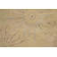 Wool Geometric Area Rug in Beige