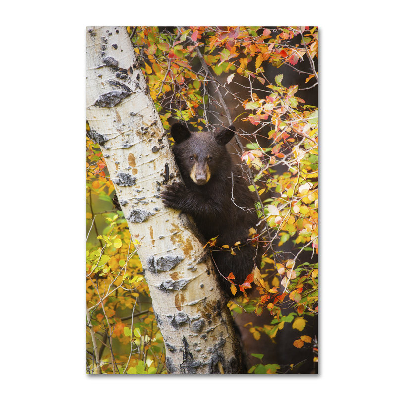 «Kadey Animal», reproduction de photo sur toile 38 po, H 24 po x l 16 po x P 2 po