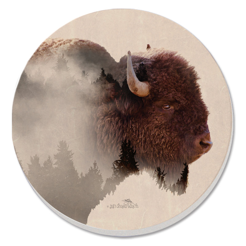 Ensemble de 4 sous-verres ronds Buffalo Scene