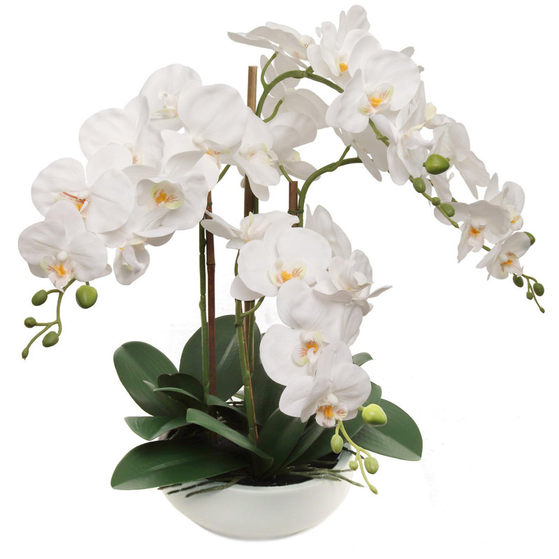 Ensemble de 3 plantes orchidées blanches, phalaenopsis réaliste de 20 pouces dans des pots ronds blancs modernes, arrangement intérieur pour n'importe quelle pièce