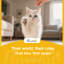 Salvatore 173cm H Cat Tree