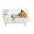 Large Hamster Cage, Clear Hamster Cage