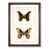 Walnut Framed