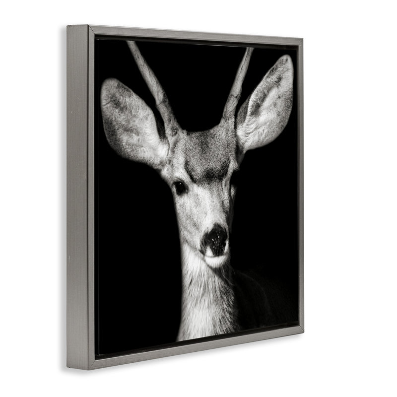 «Gazing Deer Portrait» par Kathy Mansfield, Cadre flottant gris lustré, H 18 po x l 18 po