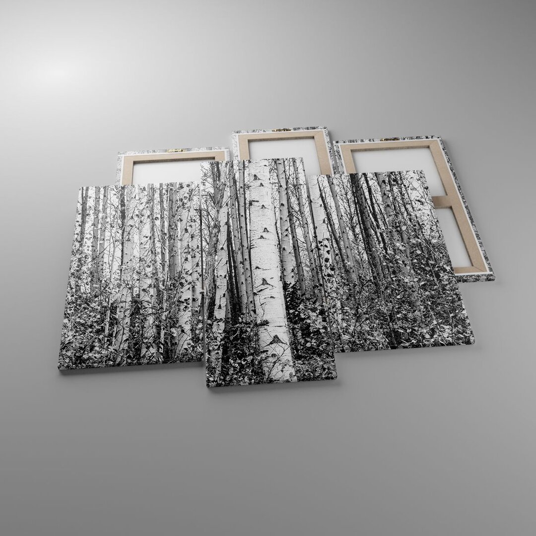 3-tlg. Leinwandbilder-Set Birch Trees Forest Monochrome