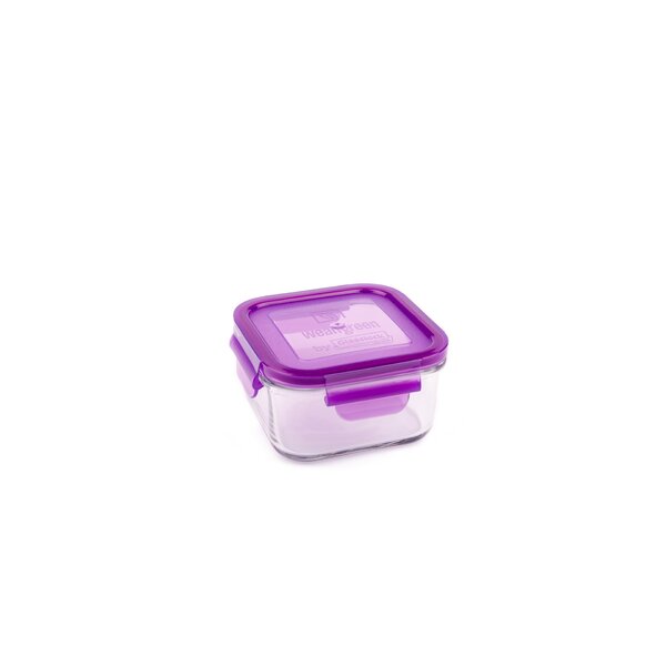 4Pcs Food Storage Container Transparent Container, Reusable, Airtight  Storage Box with Snap Locking Lid, Freezer Safe, Portable Meal Prep Bento  Lunch Box