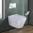 Nebula Dual-Flush Water Elongated Wall-Mount Toilet-39076352