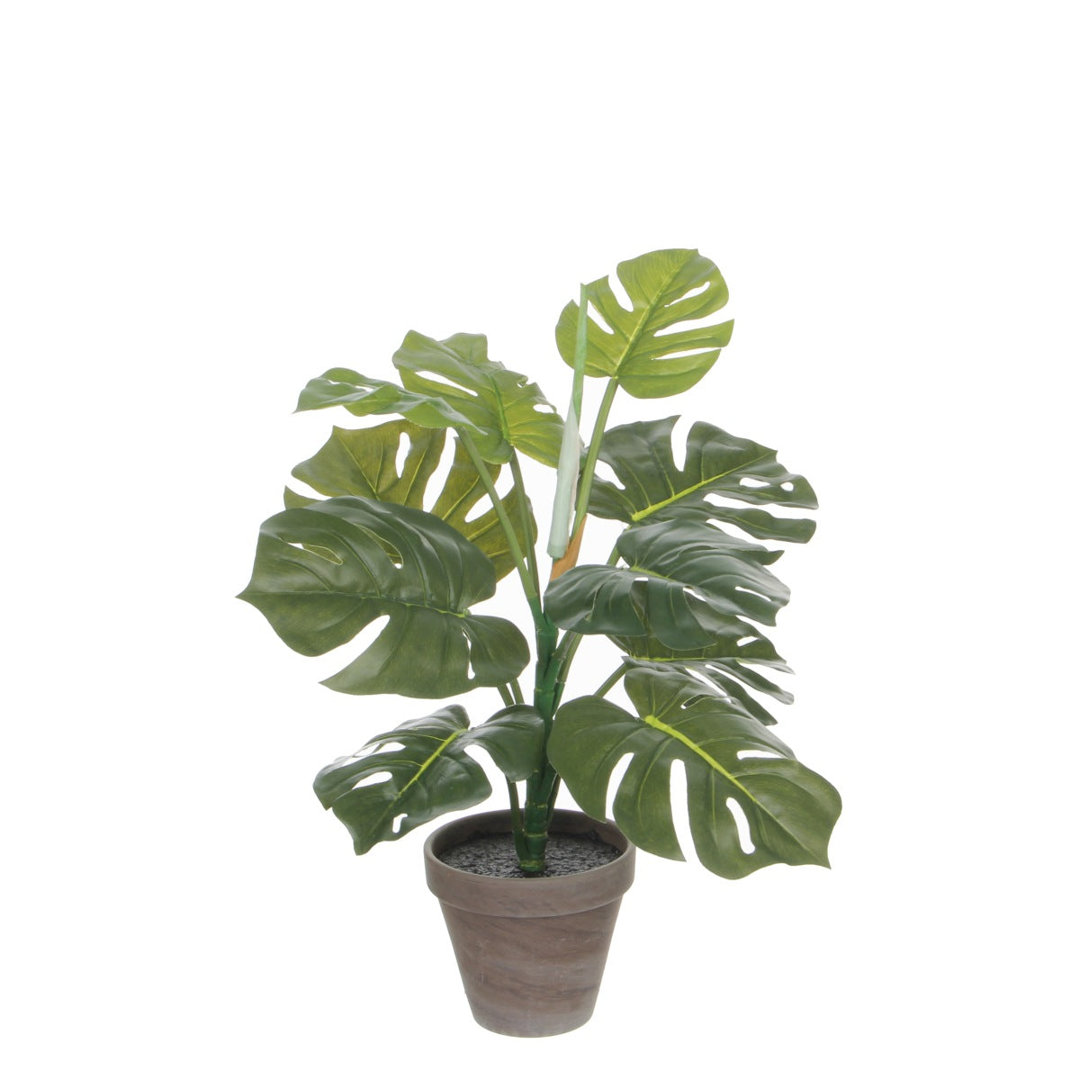 Kunstpflanze Monstera