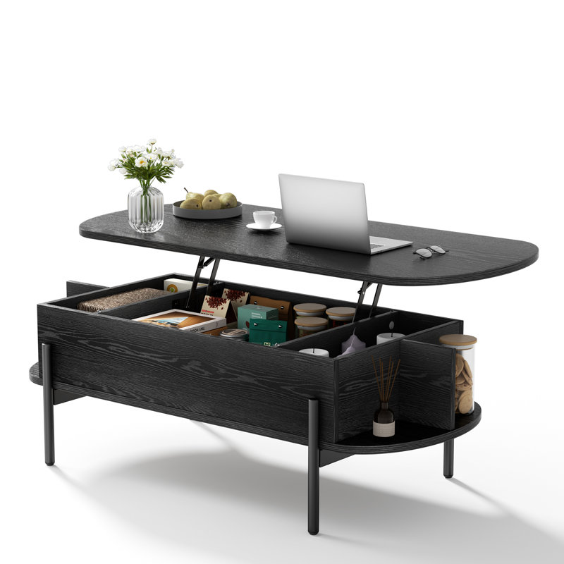 Molter 48" Oval Lift Top Coffee Table With Storage Open Shelf Living Room, Black