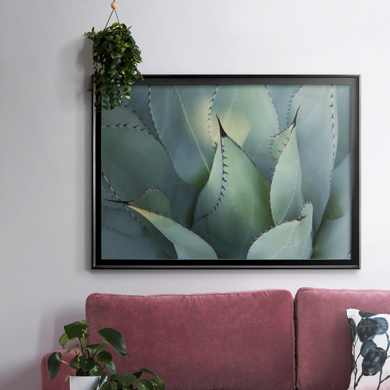 Blue Agave I, reproduction d'art sur toile, H 14 po x l 20 po x P 1,5 po, Noir