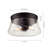 Aleyna Glass Flush Mount