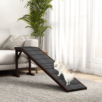 Rampe pour chien et chien Brown