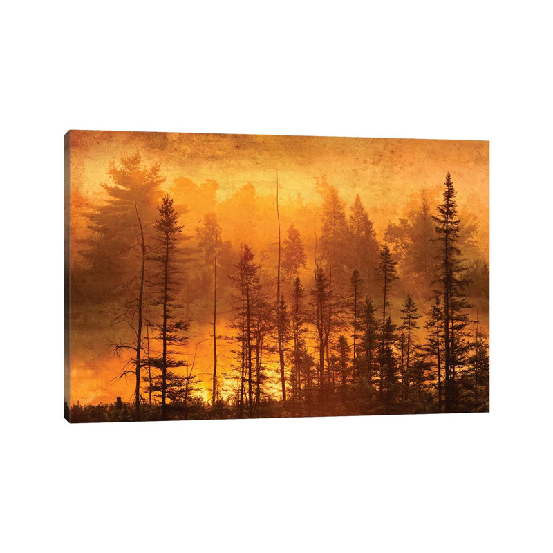 Canada. Trees In Morning Fog. by Jaynes Gallery - Wrapped Canvas Gallery-Wrapped Canvas Giclée, 101.6 cm H x 66.04 cm W