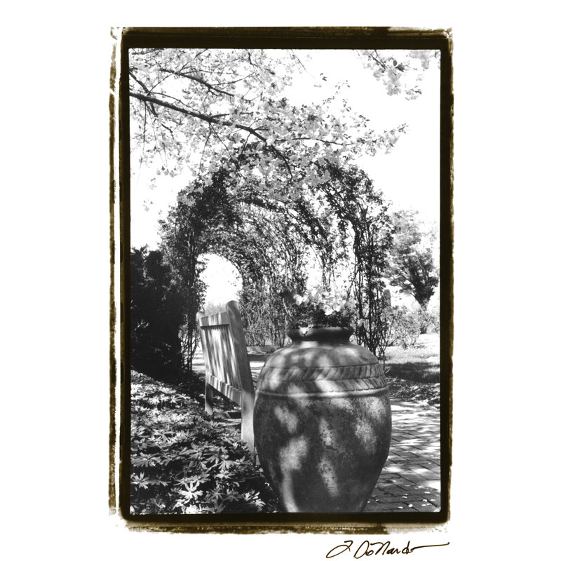 Garden Grace IV by Laura DeNardo - Wrapped Canvas Print, 46cm H x 30cm W