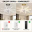 Ventilateur de plafond réversible à intensité variable de 45,28 po à 6 vitesses avec lumières DEL et télécommande-739222594-756555543