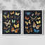 Collectionner Flutter III - reproduction encadrée de qualité supérieure - prête à être accrochée - aucun clou requis - aucun clou requis-727188633-727188708