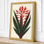 Torch Flower Botanical - Wrapped Canvas-962322454-962322455