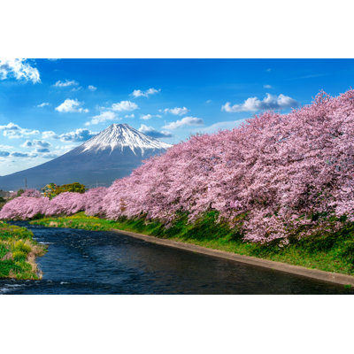 Cherry Blossoms and Fuji 1 Piece Wrapped Canvas Wall Art