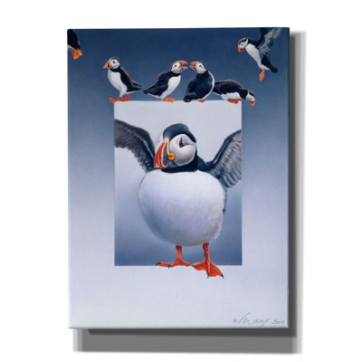 'Puffins' by Harro Maass, Canvas Wall Art