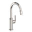 Heaney Single Handle Pull Down Kitchen Faucet-1310979272