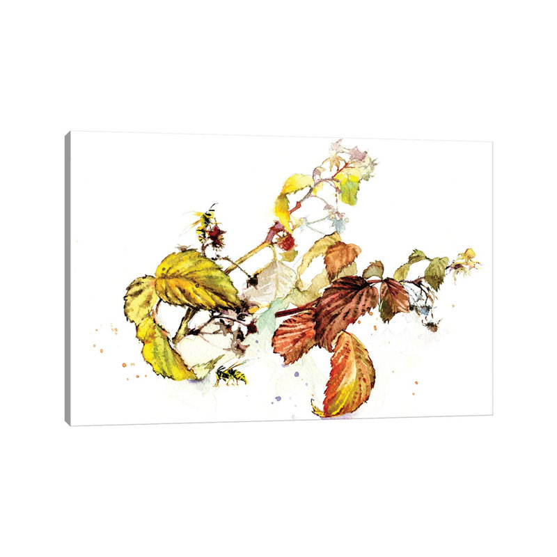 Raspberry Sprigs by Marina Ignatova - Wrapped Canvas Painting, 66.04 cm H x 45.72 cm W