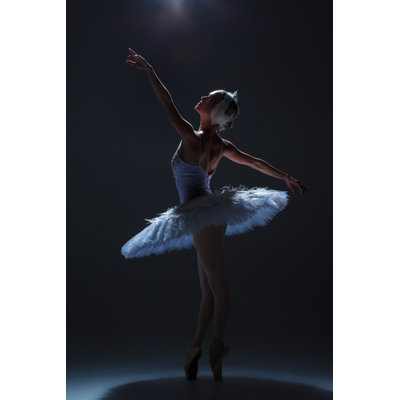 Ballerina in Ballet par Master1305 - Photographie de toile tendue
