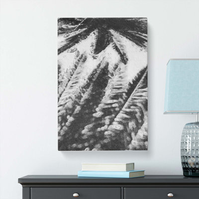 Palm Tree Shadows - Wrapped Canvas