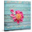 Diana Alcala - Wrapped Canvas Print-18577451
