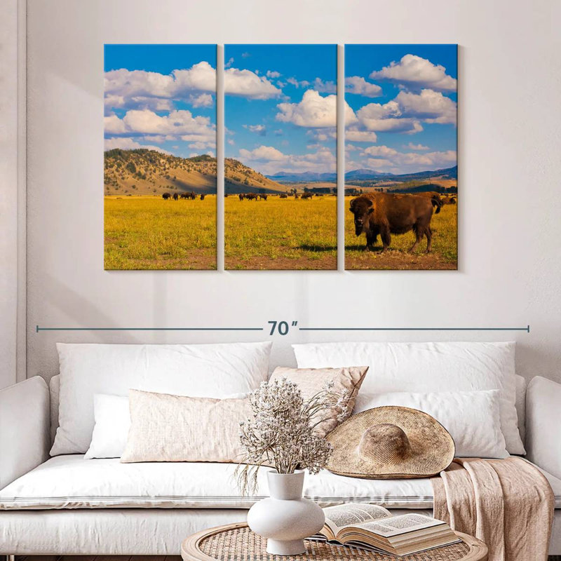 Bison de Brampt dans le parc national, H 32 po x l 50 po