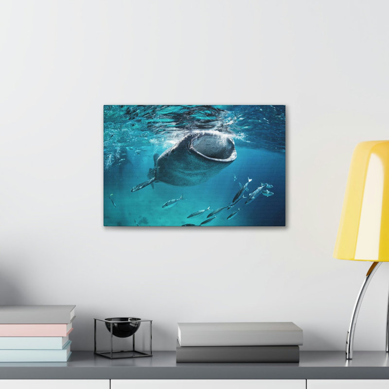 Drôle de requin baleine amusant, H 12 po x l 18 po