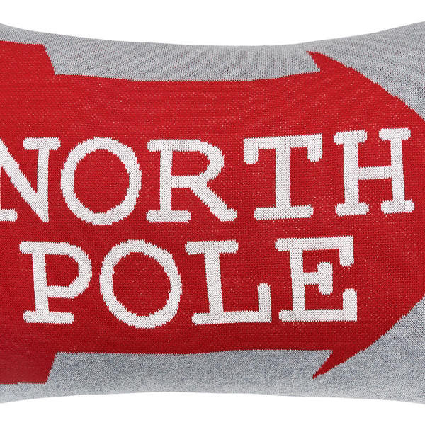 Alura 24" x 24" Cotton Throw Pillow, North Pole