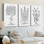 B&W Plant Specule IV - Toile tendue sur mesure avec châssis - 3 pièces-1865640784