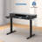 Electric Standing Desk With 2 Drawers Monitor Stand Storage Shelf-276610810-276610808