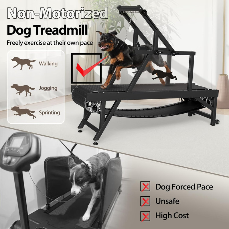 Non-Motorized Dog Treadmill with Adjustable Frame and Quick-Stop Brake