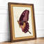 Plum Butterfly Study Botanical - Framed Print-244372329-244372333