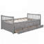 Daybed with Trundle and Drawers-431449633