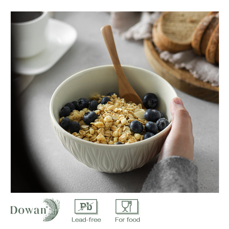 DOWAN 22 OZ Ceramic Soup Bowls & Cereal Bowls - 6 White Bowls Set of 4 for  Soup, Cereal, Oatmeal, Fruit, Rice - Dishwasher & Microwave Safe