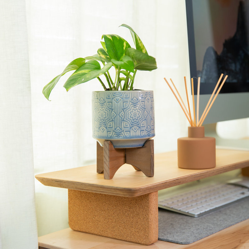 Pot Planter