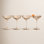Orlosky Coupe Glass