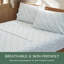 Ensemble de draps 100% coton-102832030-116415333