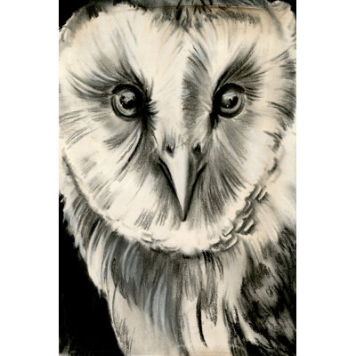 Charcoal Owl II by Jennifer Paxton Parker - Wrapped Canvas Painting