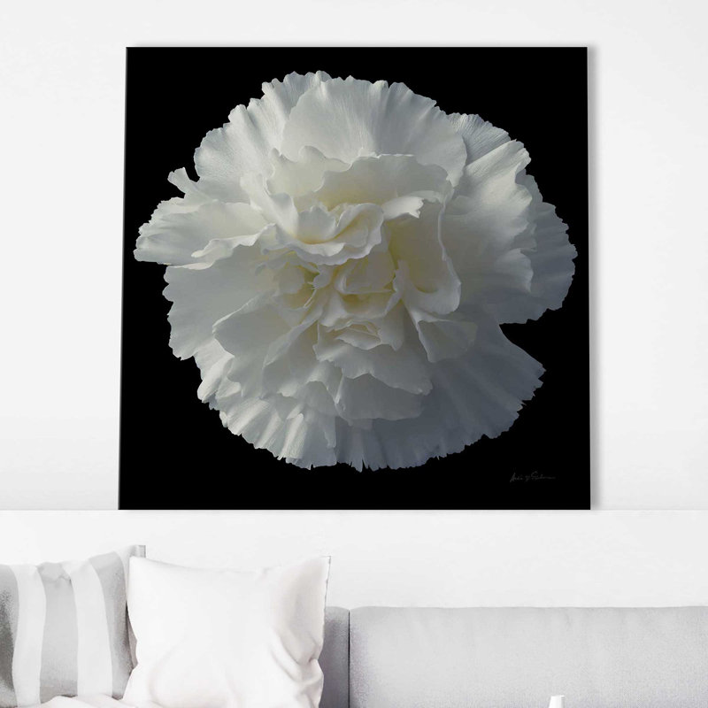 Floral Majesty III - photographie, H 24 po x l 24 po x P 1,5 po, Toile tendue