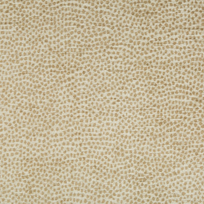 Performance Crypton Home Fabric
