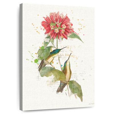 Colibris colorés Brampt I
