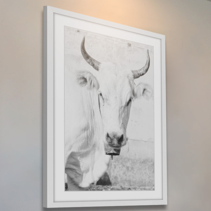 Handmade Black and White Cow Face Framed Canvas Print