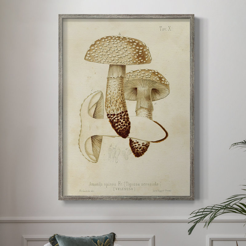 «Mushroom Variétés», reproduction encadrée en bois massif, H 11 po x l 9 po